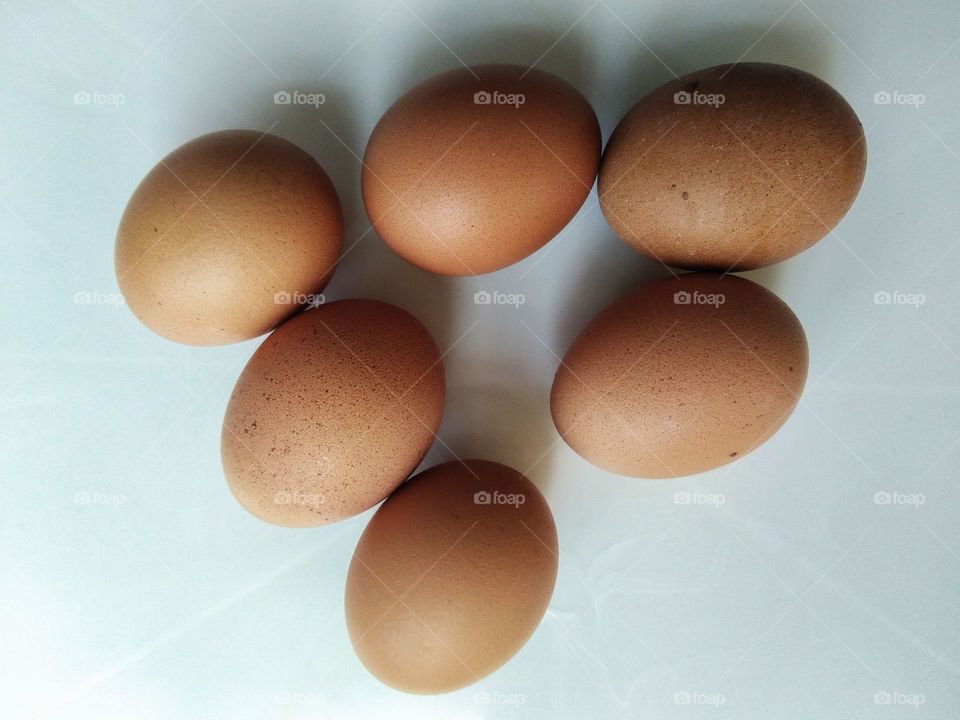 eggs