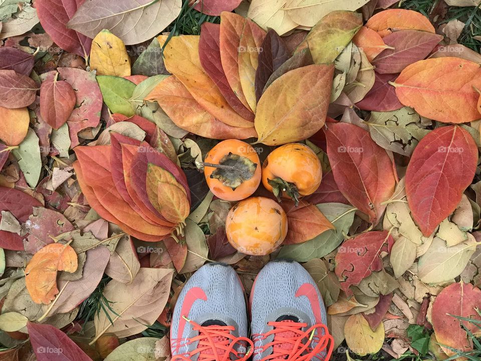  A sunny day in autumn with nike shoes