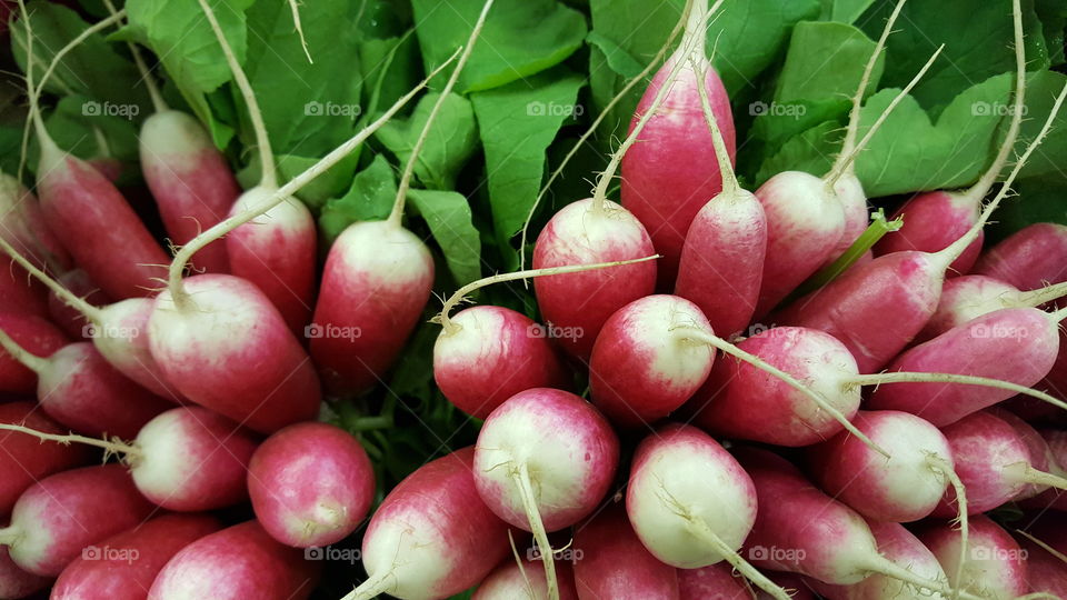 Radish breakfast