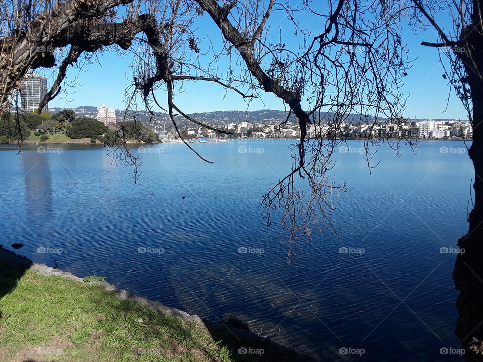 Water, Tree, Landscape, No Person, Lake