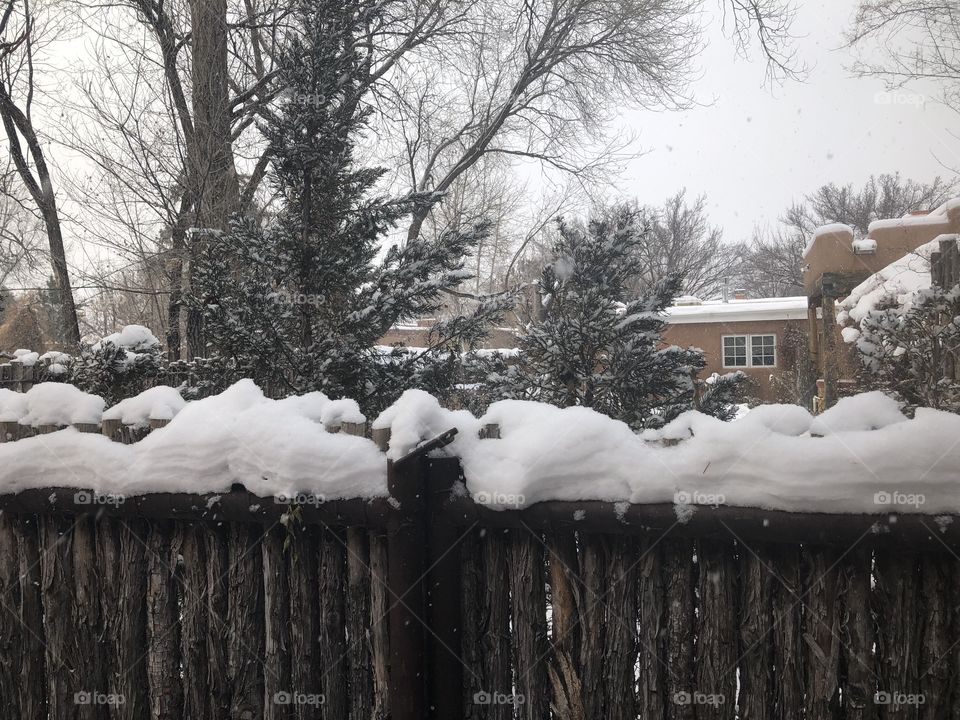 Snowy Fence