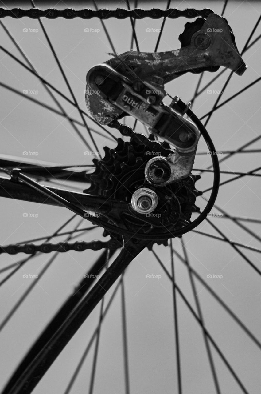 Bicycle gear. Rear wheel