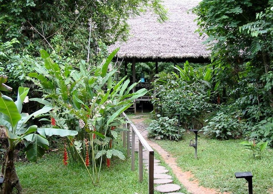 The Outer Edges of the Amazon