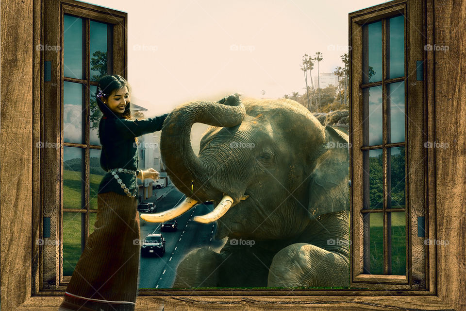 #elephent #girl #window #enviornment #manipulation #ps #adobe #photoshop #edits #3d #designgraphic  #DoubleExposure #effect