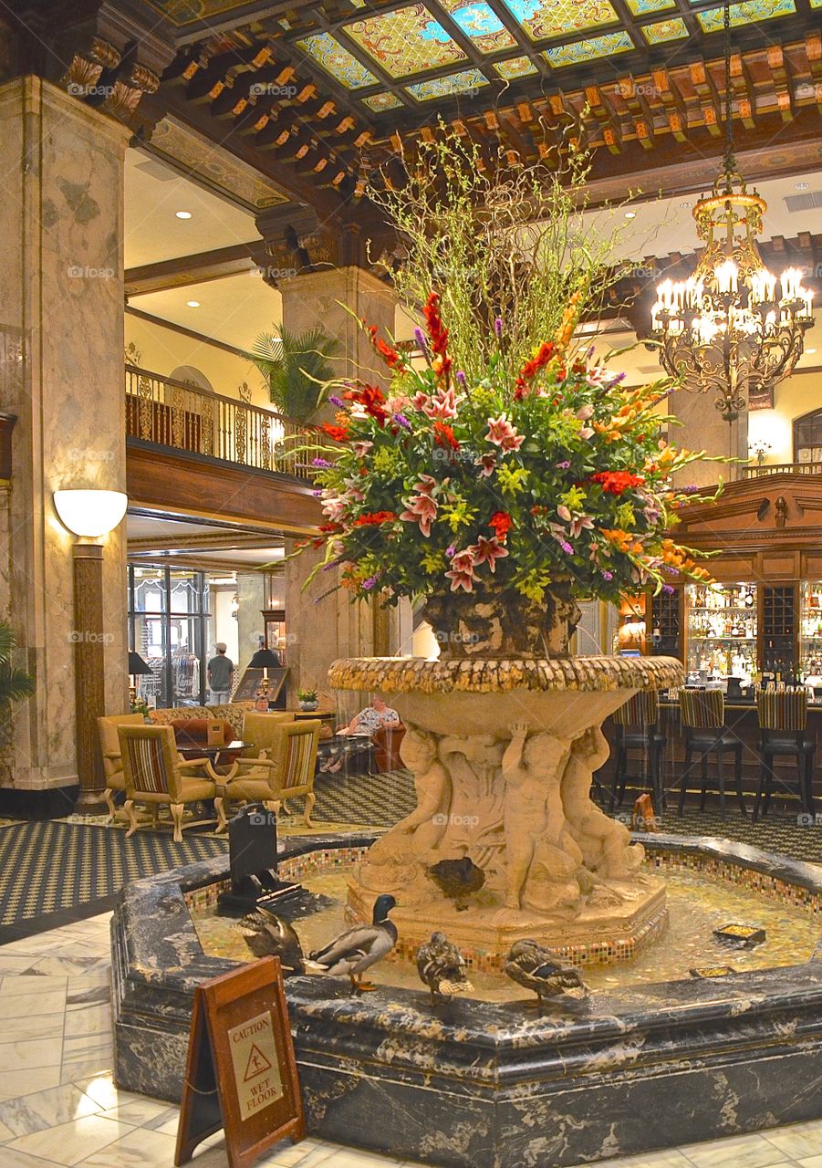 Ducks in fountain. Ducks in fountain at the Peabody hotel