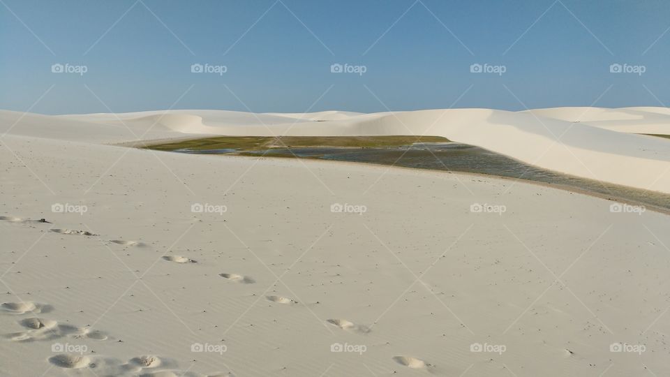 Dunes of Lençóis Maranhenses, Santo Amaro do Maranhão, Maranhão- Brazil