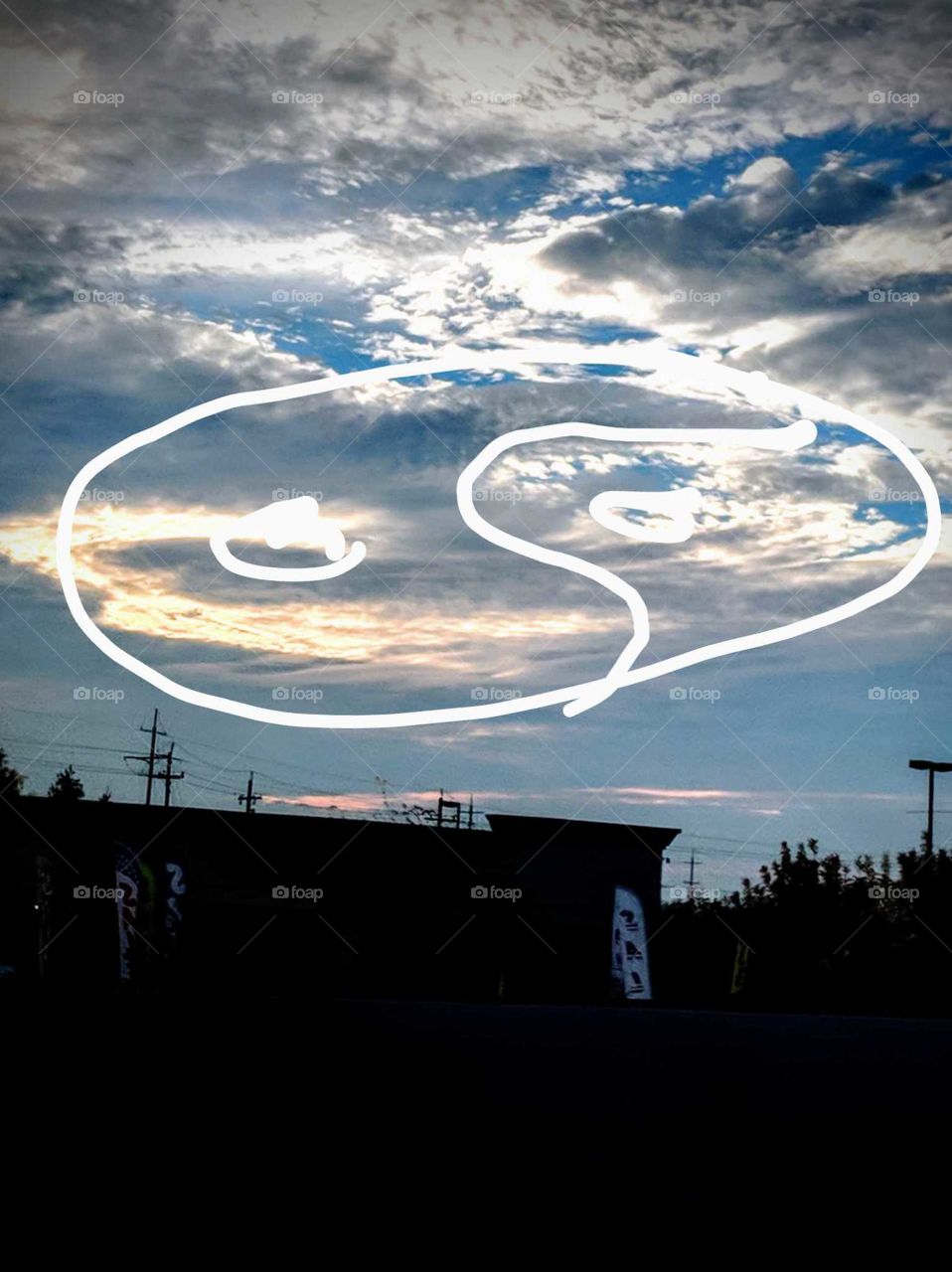 Do you see what I see?