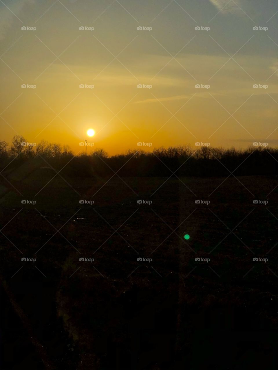 A golden sunset over the treetops while traveling