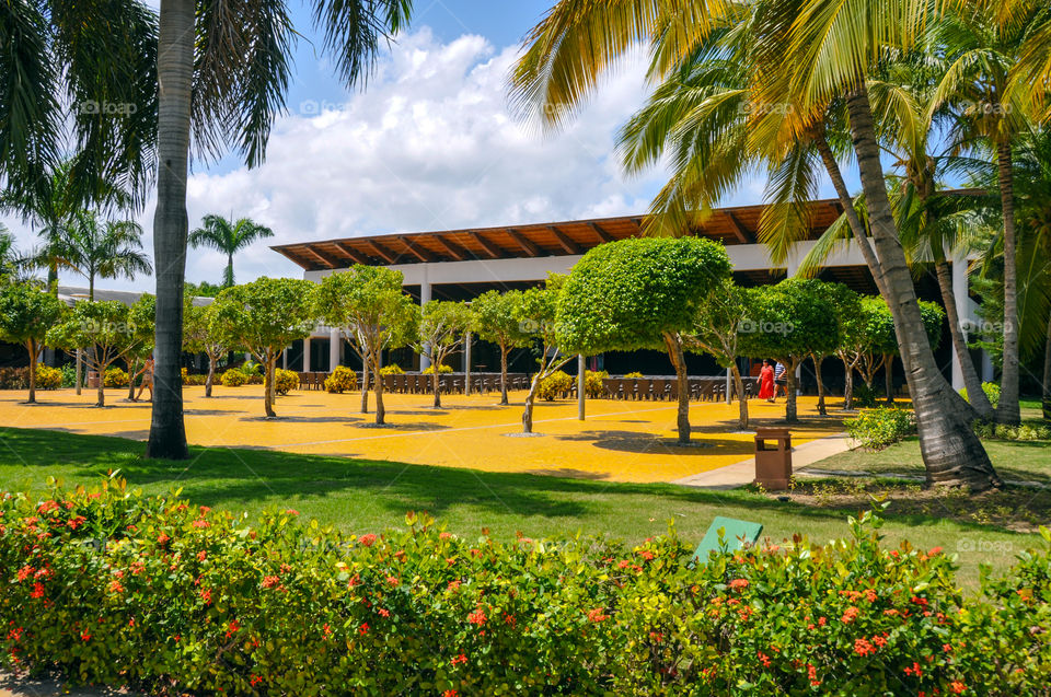 The hotel territory in Dominican Republic