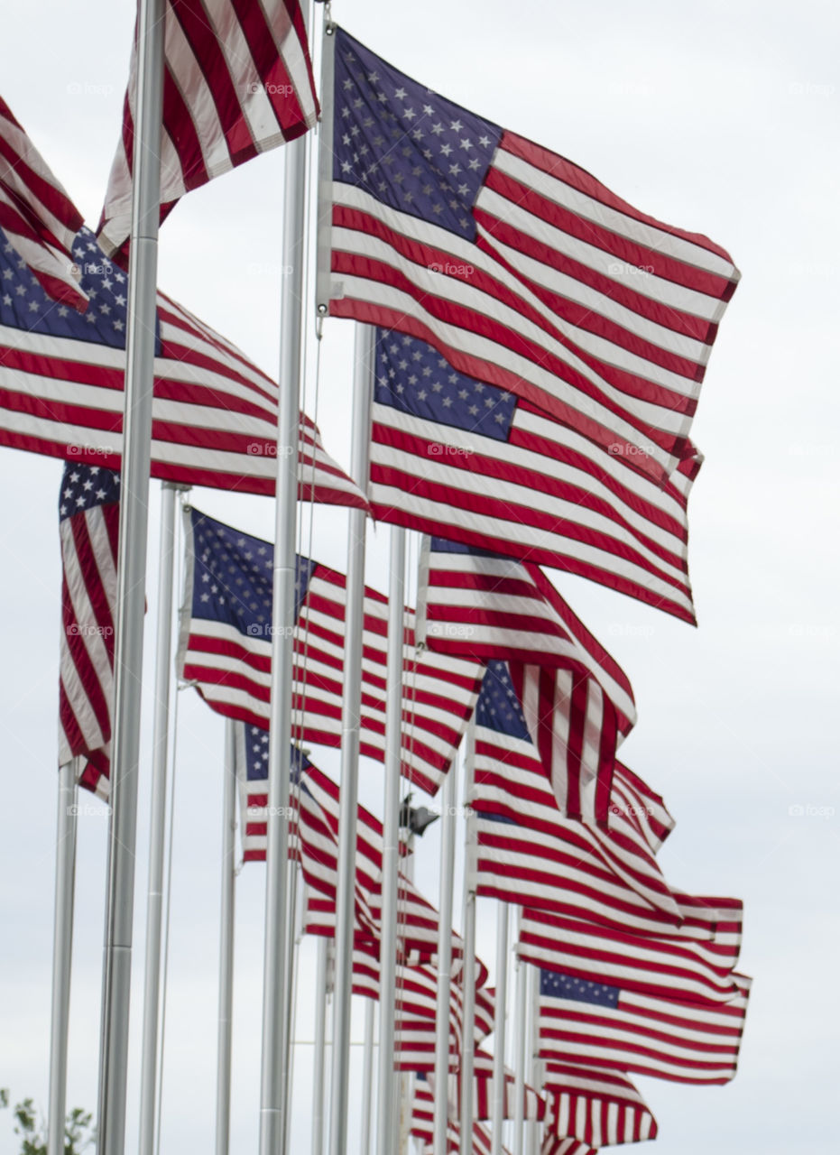 Boulevard of 500 Flags 2