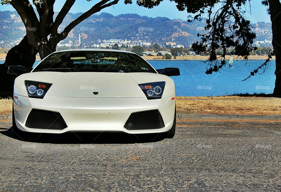 luxury, San Francisco California