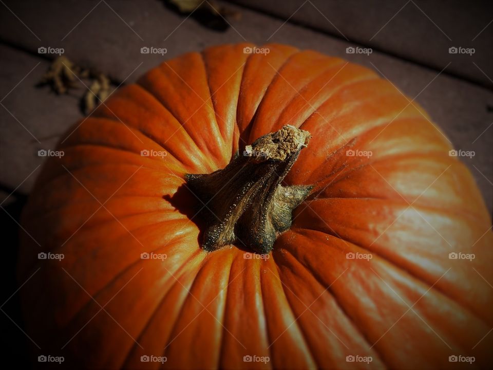 Pumpkin