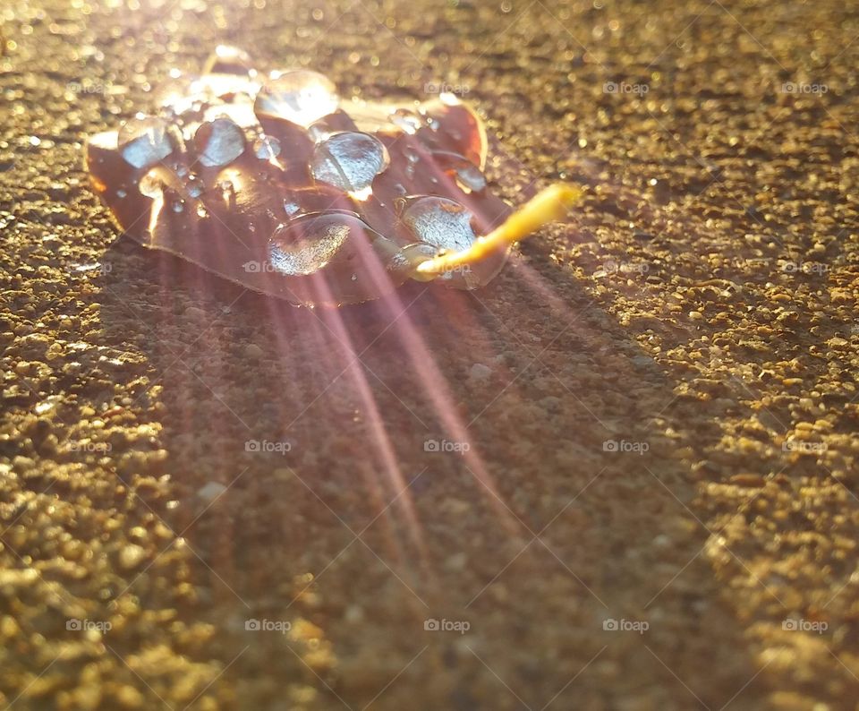 fallen leaf with reflective water drops
