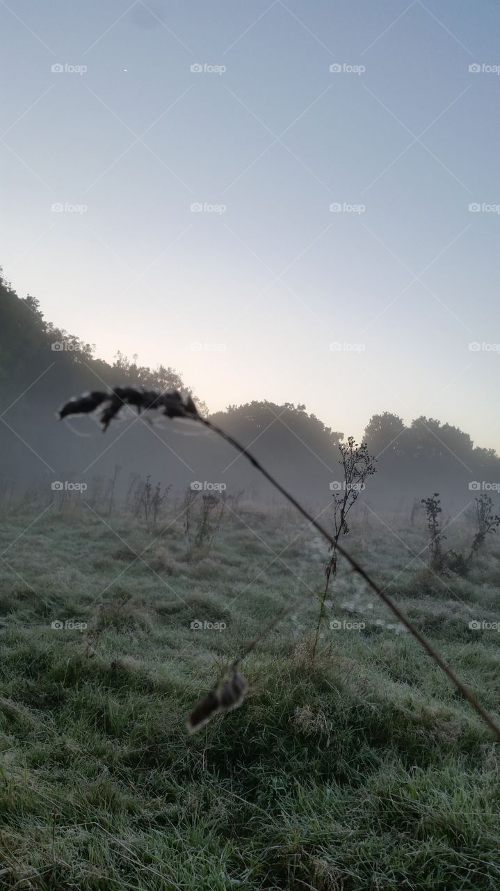 British Misty Sunrise