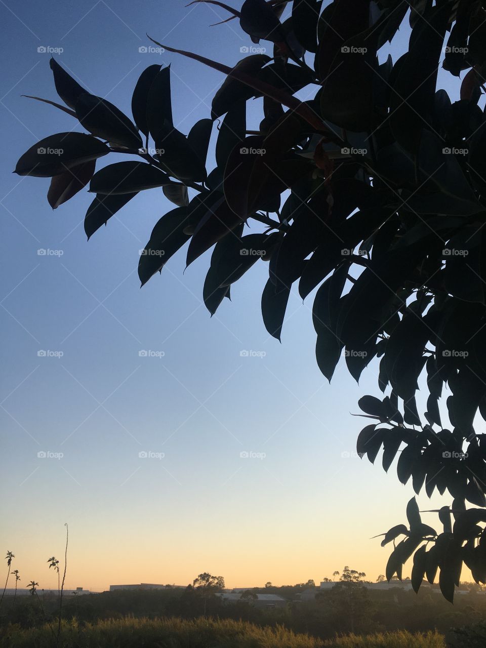 🌅Desperte, #Jundiaí.
Que a #SegundaFeira possa valer a pena!
🍃
#sol #sun #sky #céu #photo #nature #morning #alvorada #natureza #horizonte #fotografia #pictureoftheday #paisagem #inspiração #amanhecer #mobgraphy #mobgrafia 