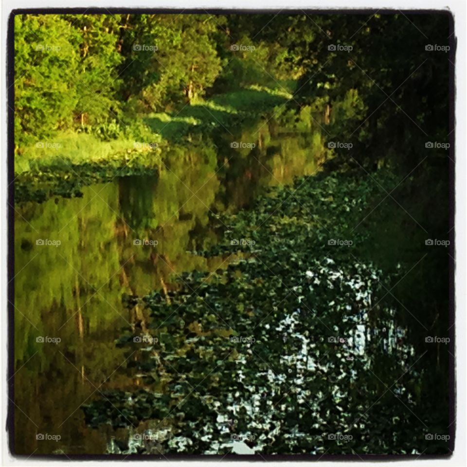 Green river. 