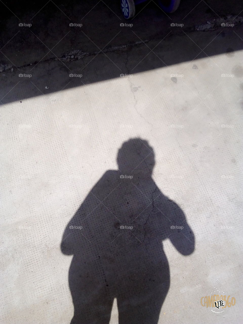 sunny day shadow