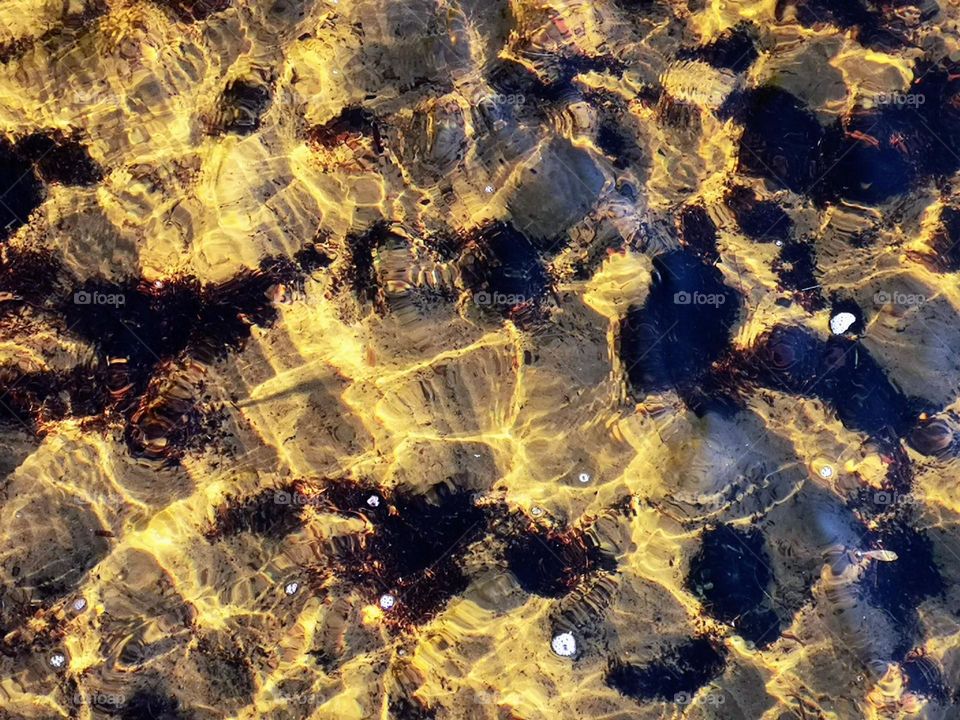 The combination of sunlight and water, a beautiful pattern on the water. Summer 🌞☀️