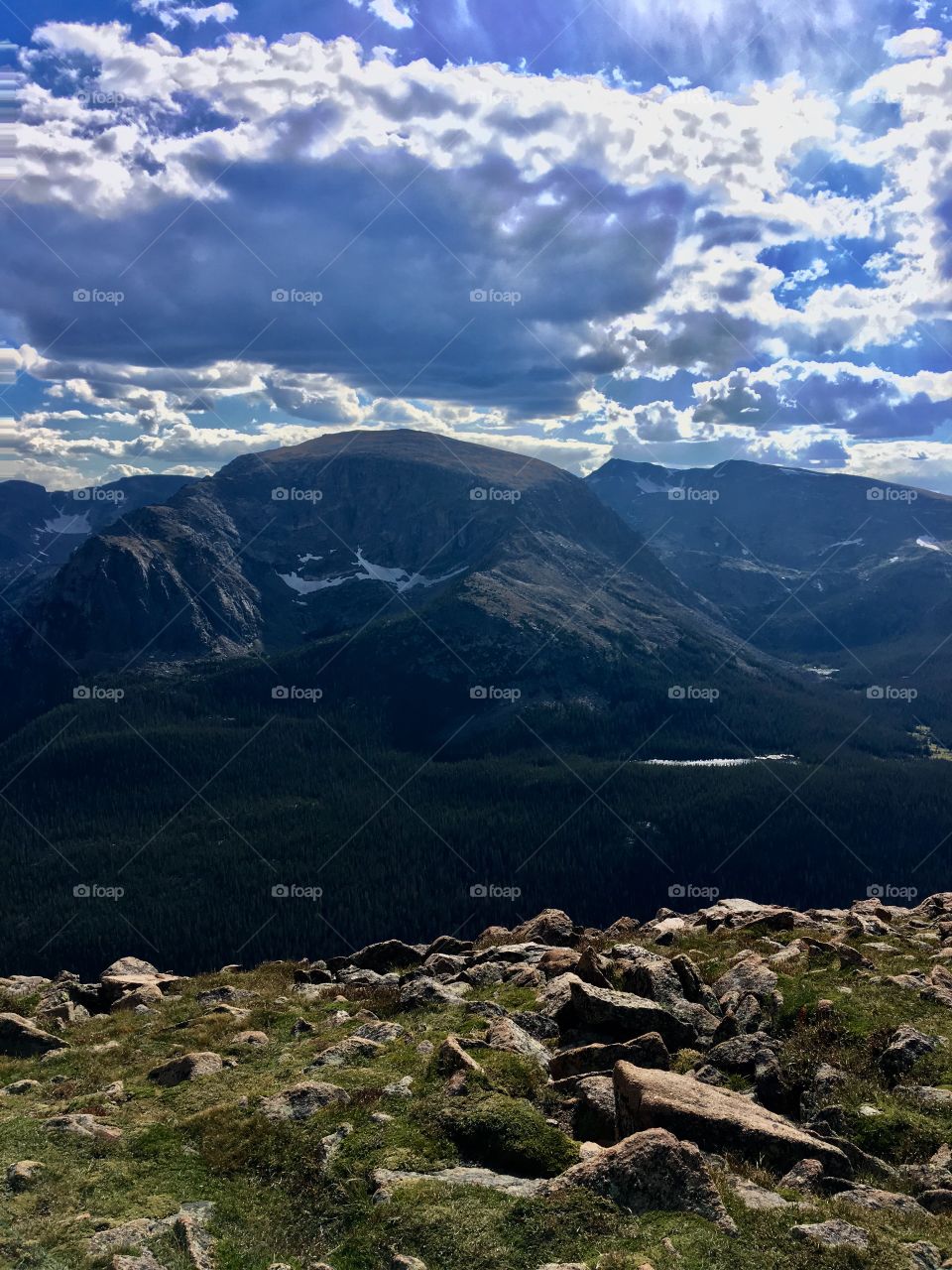 Rmnp 
