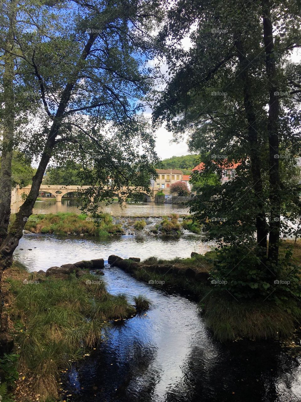 River, trees and bridge 