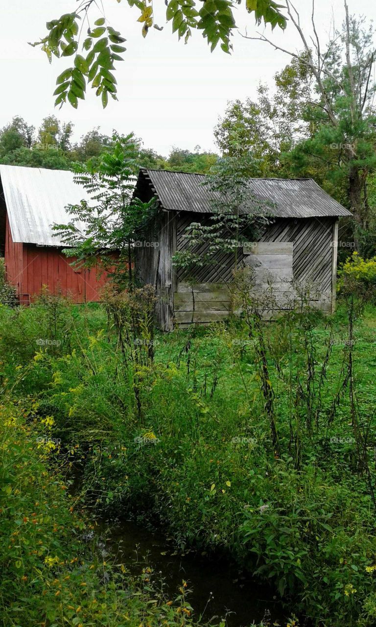 Barn