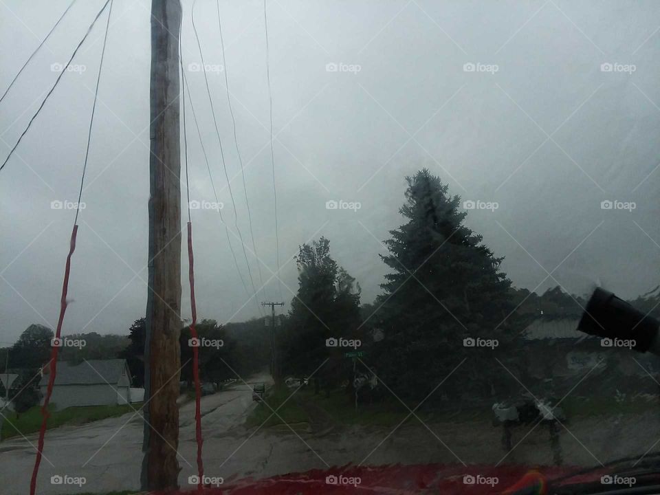 pole grey trees sky rain