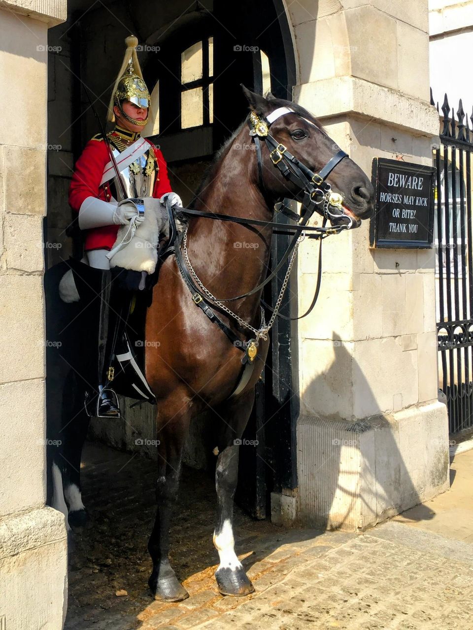 Guard of Buckingham Palace, UK 
