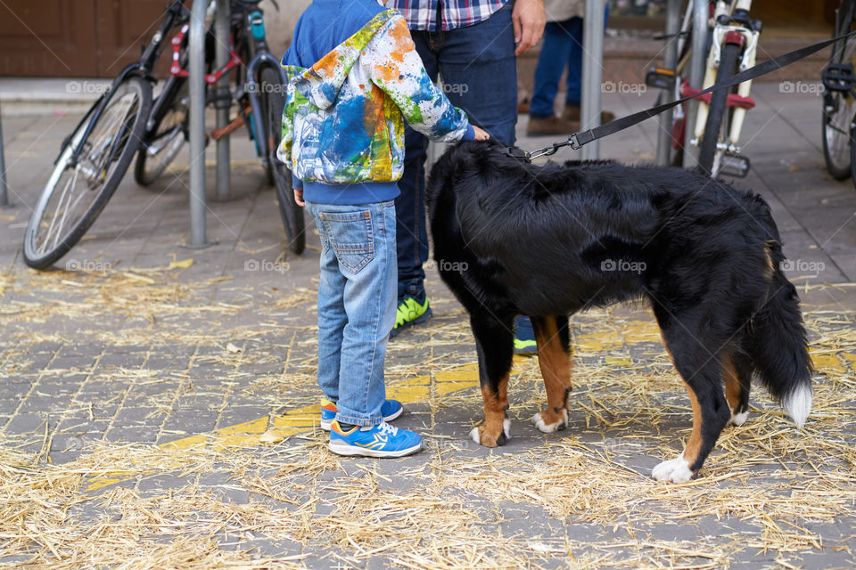 Street friendship