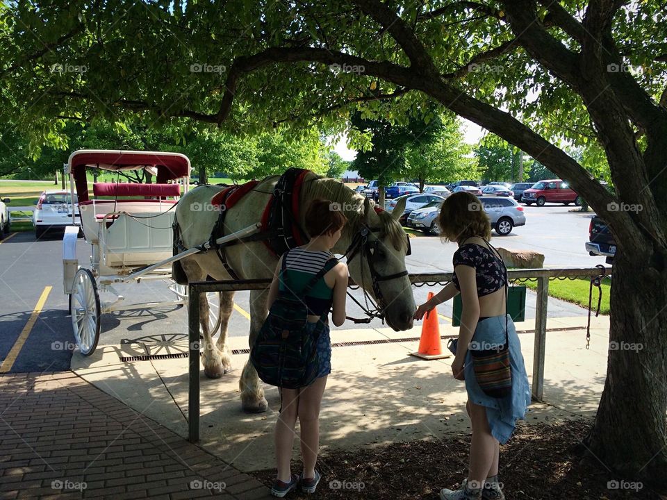 Hansom cab horse and carriage 