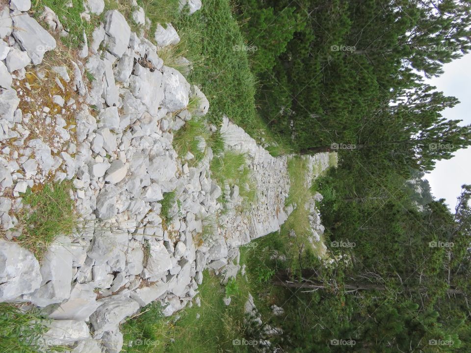 Emperor hiking trail ruins in forrest