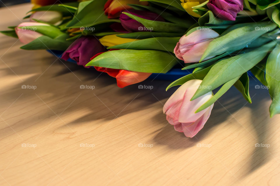 Closeup of colorful tulips on wood background with room for copy space 