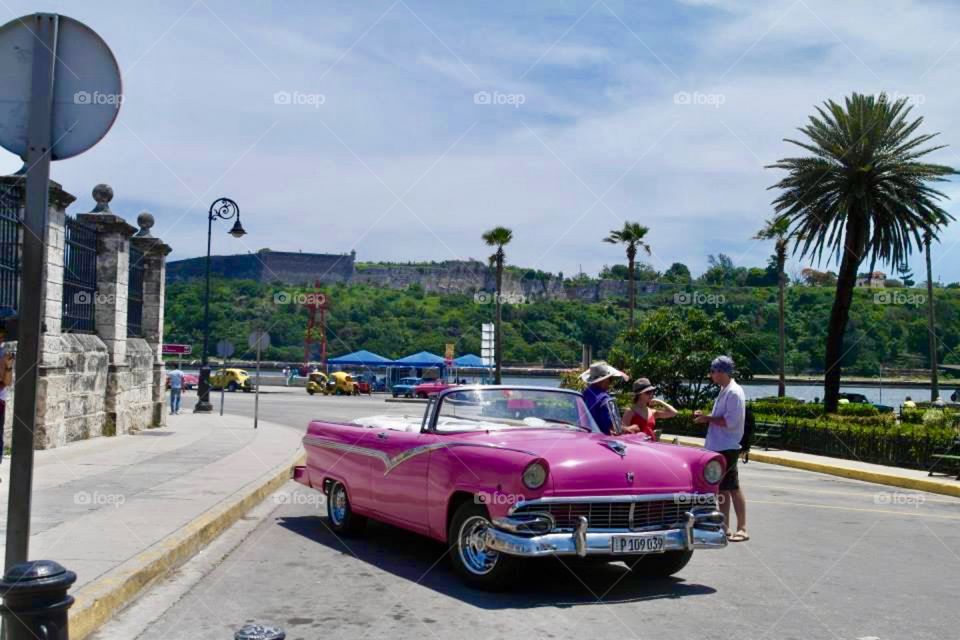 Pink Kuba