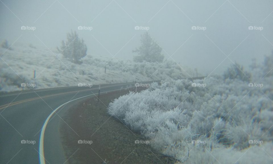 Winters Freezing Fog covering everything in Frost.