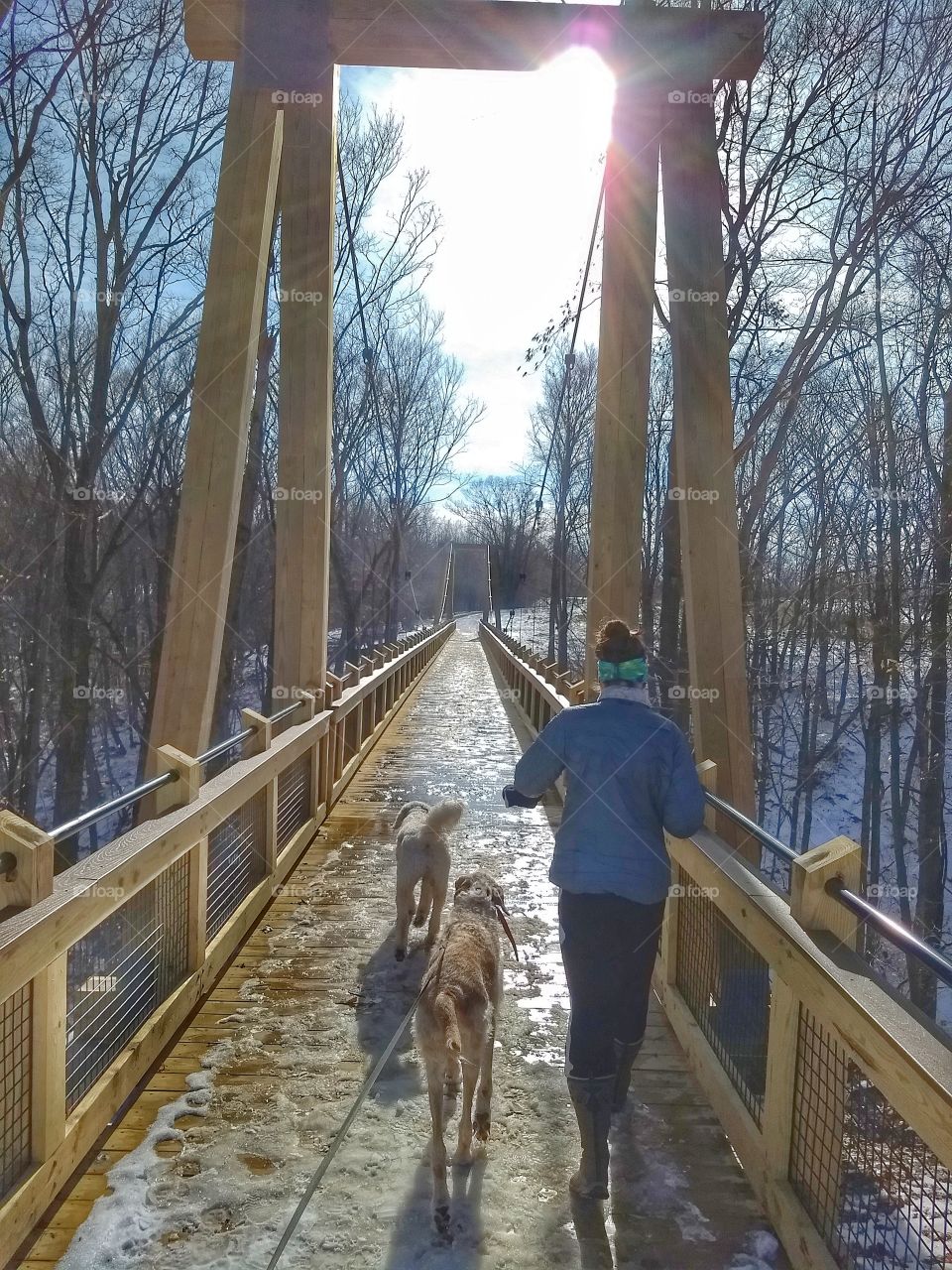 Suspension bridge with the dogs