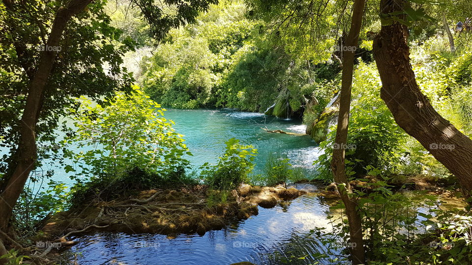beautiful calm water, lush green plants and trees around blue brook in Croatia