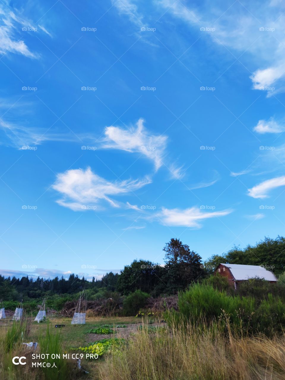 Farm and ranch series