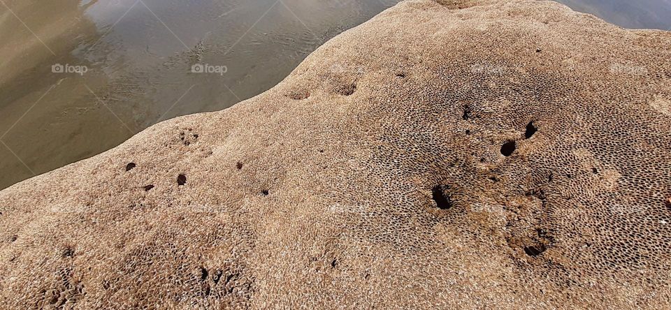 rocks in Perequê beach in the Guarujá city