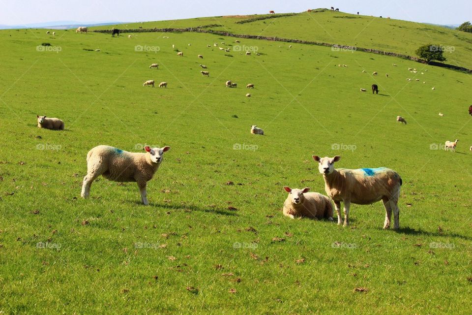 Who are you looking at..?