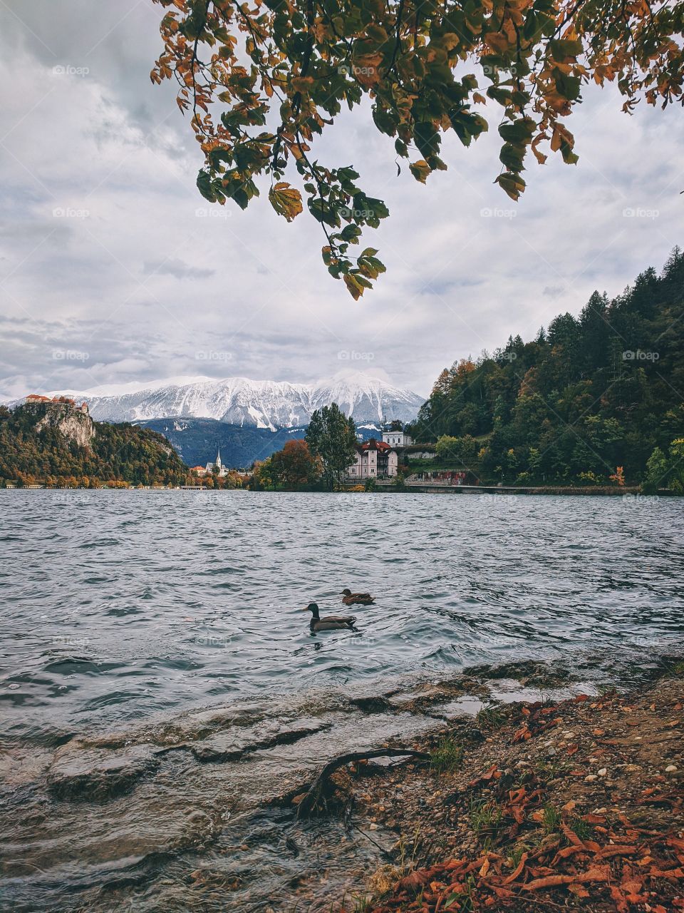 View of the snow-capped mountain peaks against the backdrop of Lake Bled.