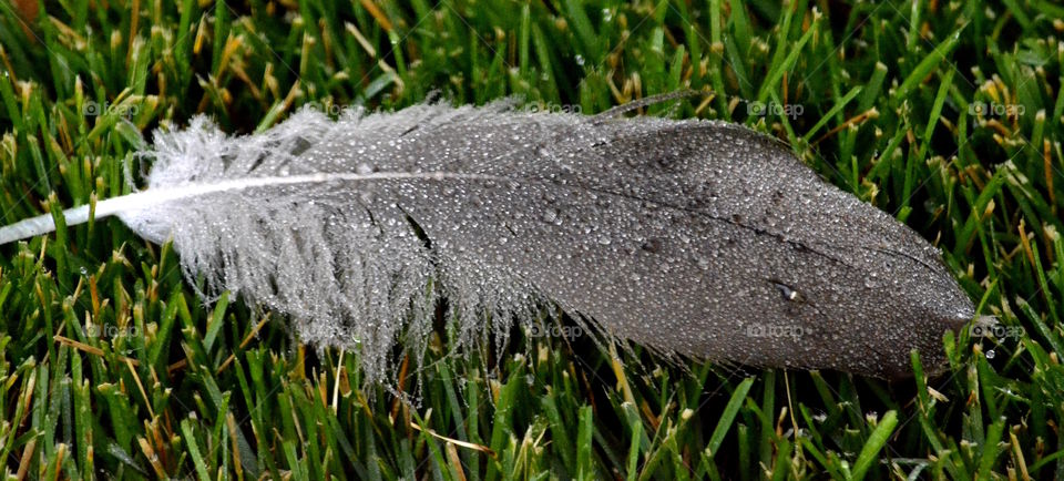 Pretty walk after a rain