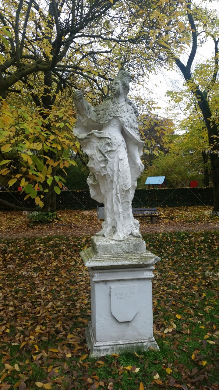 Fall, Leaf, Tree, Park, Garden