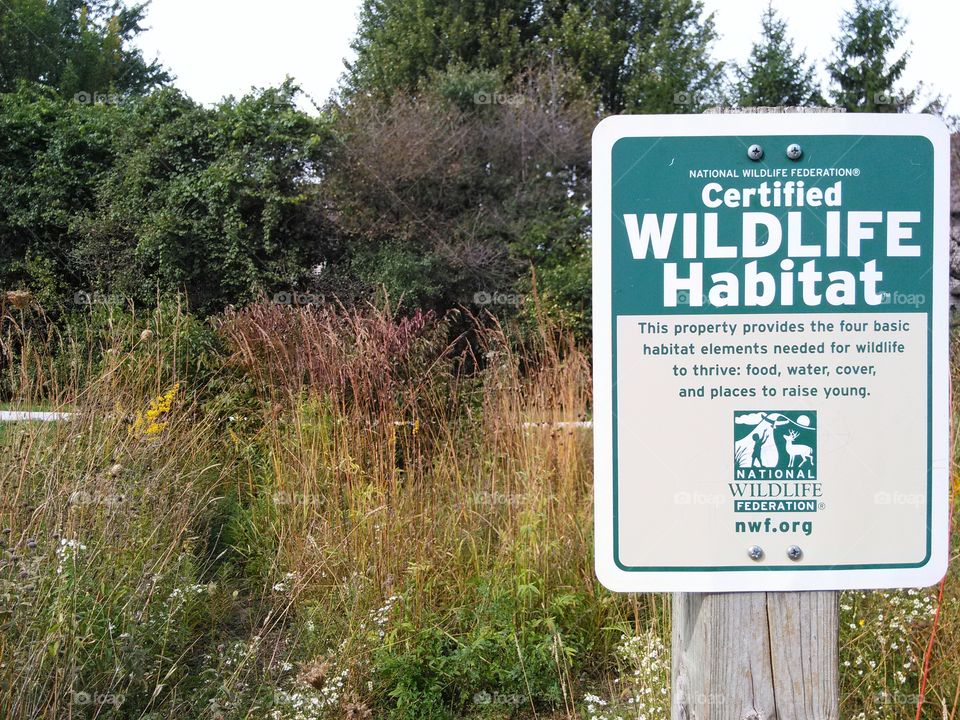 Wildlife Habitat. local wildlife habitat