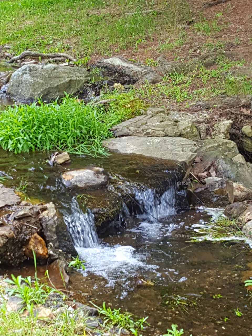 mountain stream