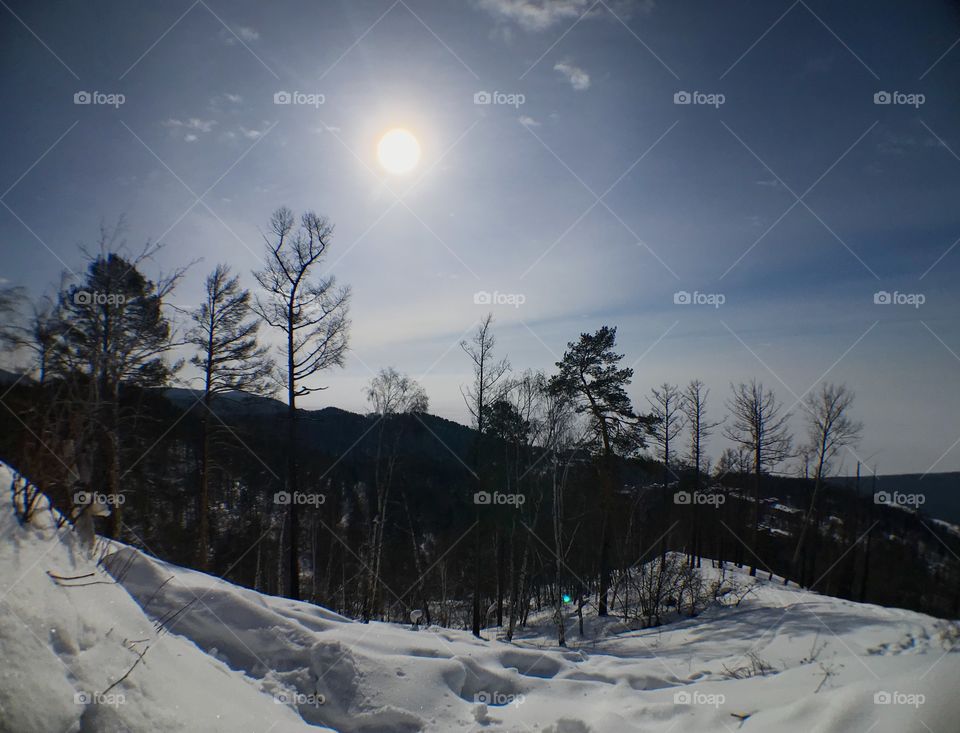 wWhen took photo facing the sun we will got some beauty creature with contrast and texture.