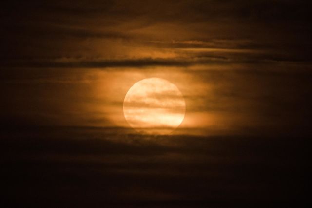 Rising yellow full moon