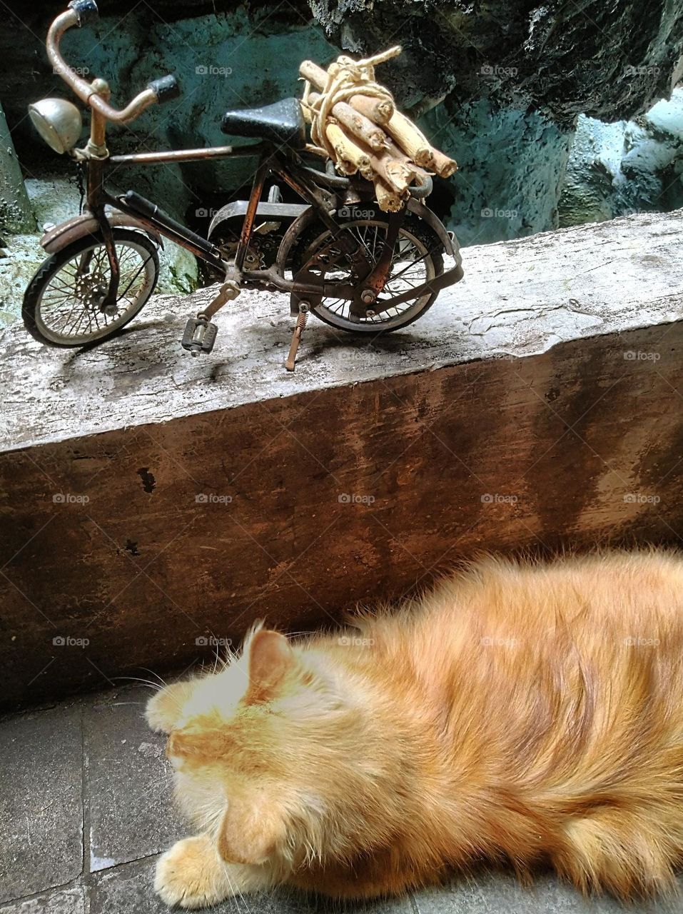 The world of liliput