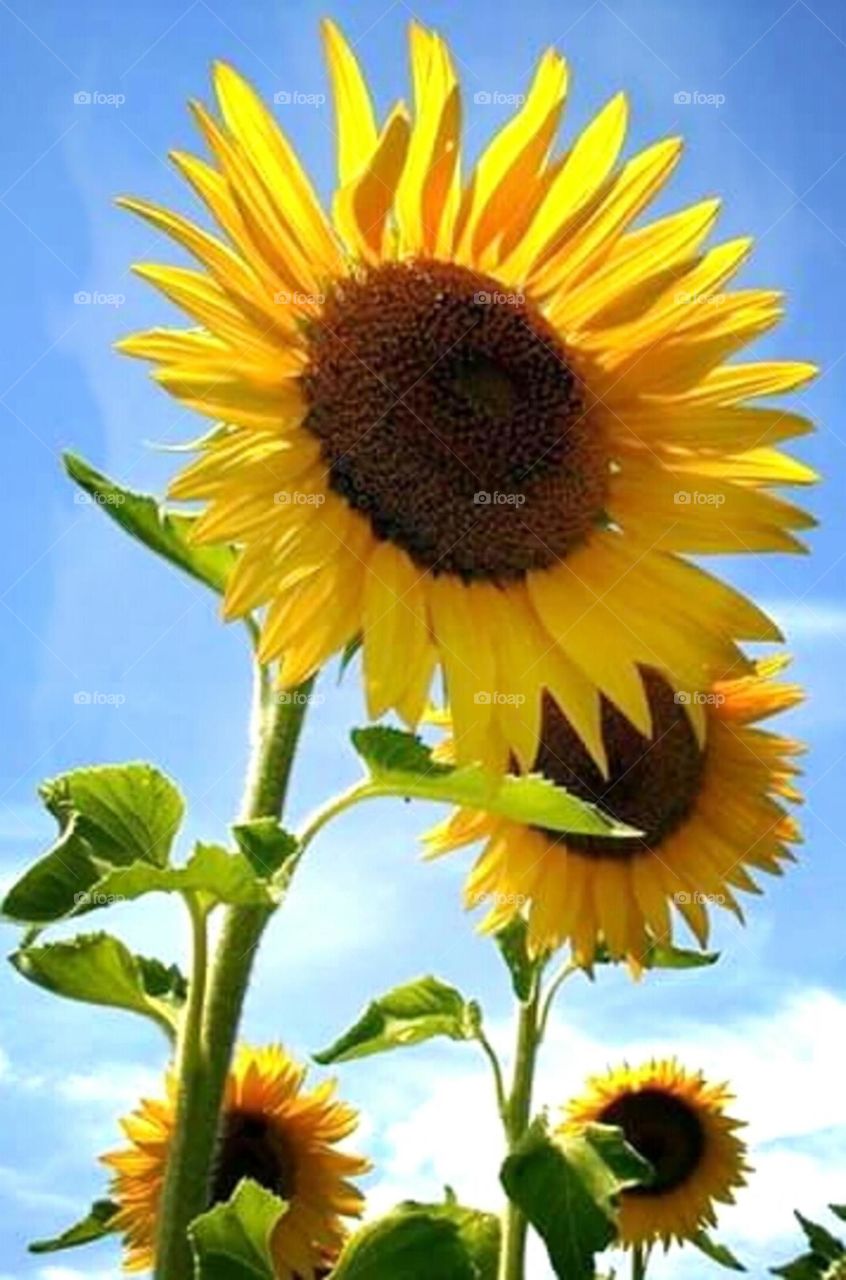 Early signs of spring!