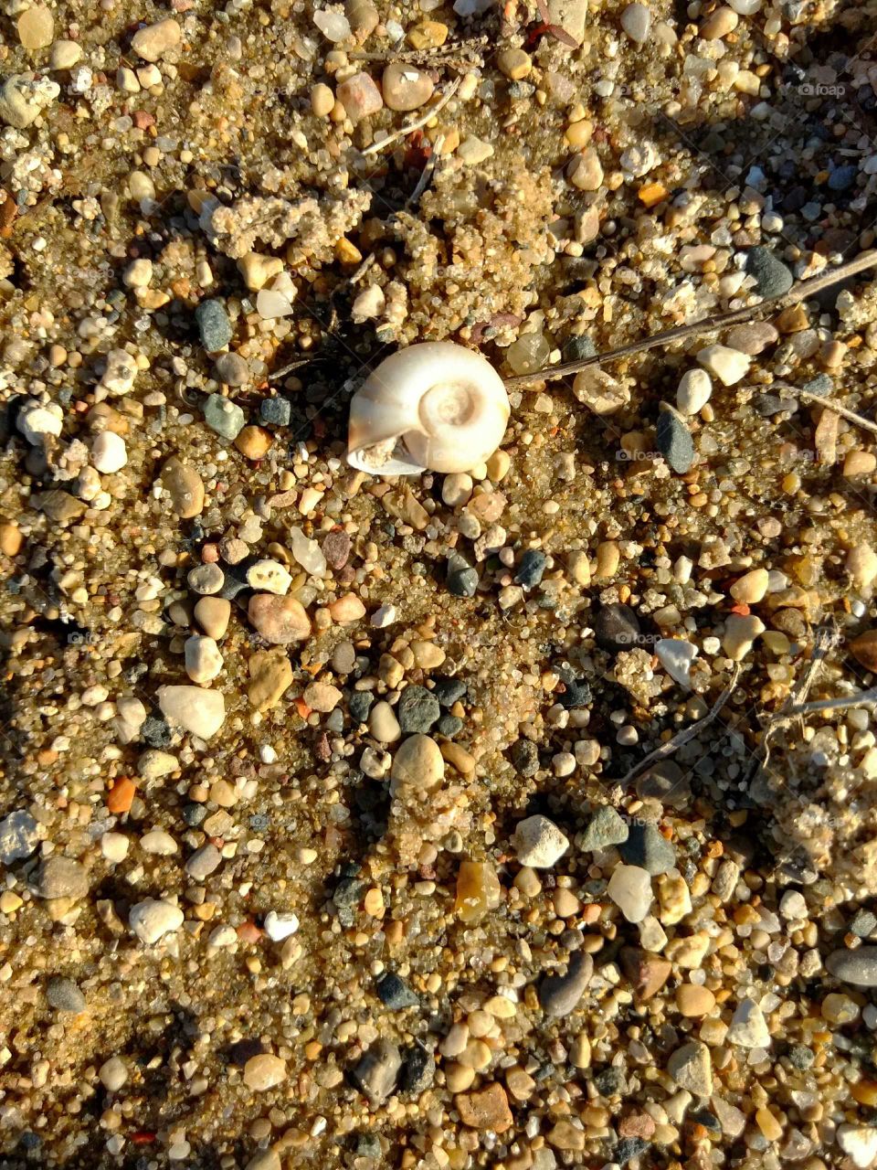 perfect for a screensaver