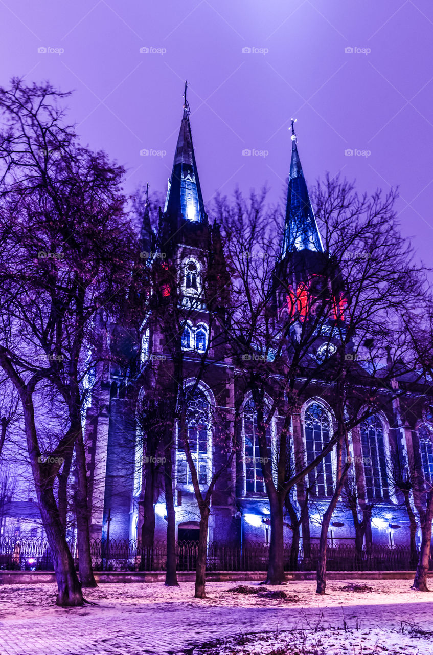 St. Olga and Elizabeth cathedral in Lviv city