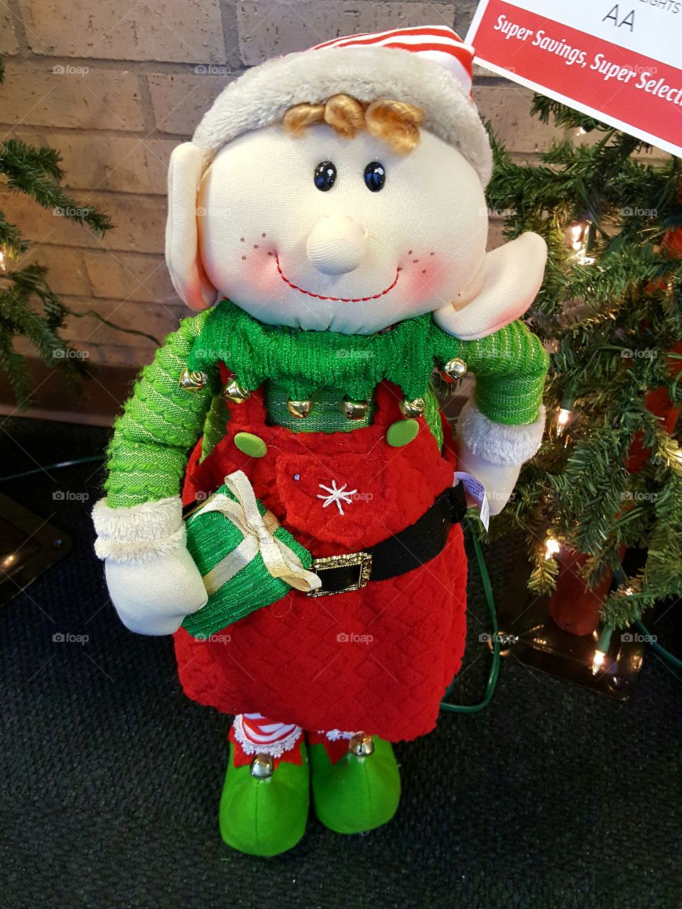 Such a cute holiday elf!
